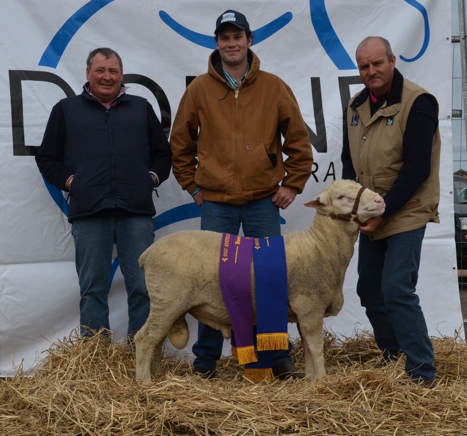 Calga Dohne with prize ribbons